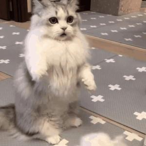 小樱被佐助扒开腿❌黄
