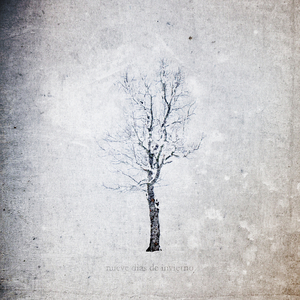 小樱被佐助扒开腿❌黄
