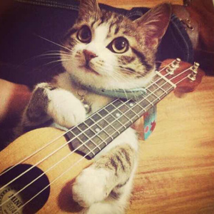 小樱被佐助扒开腿❌黄
