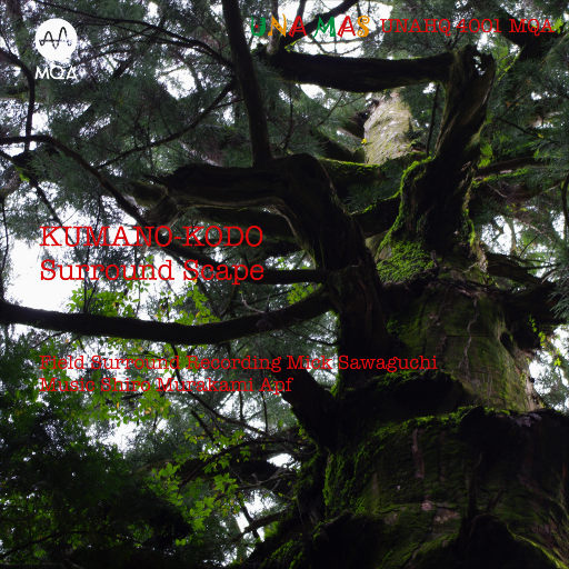 小樱被佐助扒开腿❌黄
